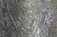 Holywell fibreglass roof work